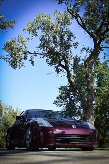 350z With The Trees