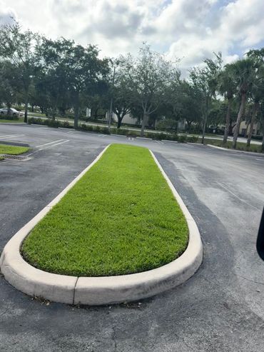 Green grassy median in an empty parking lot under a cloudy sky.