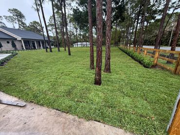 Freshly laid sod on a residential lawn next to a house and wooden fence.