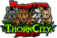 ThornCity Bullies