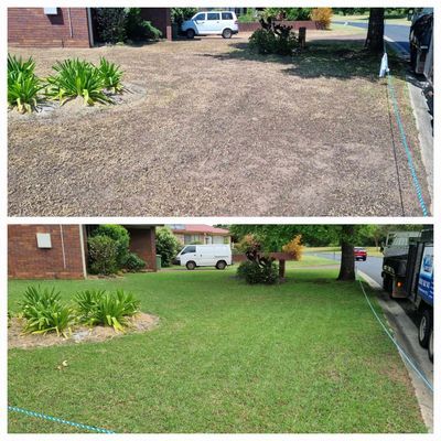 Toowoomba Lawn Renovation 