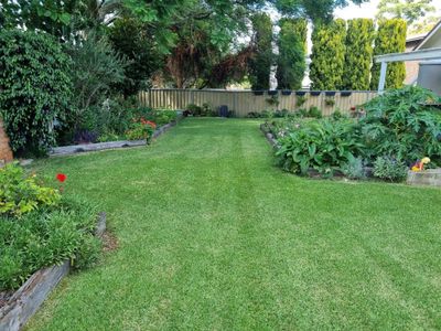 Rangeville lawn mowing