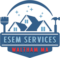   ESEM Services
