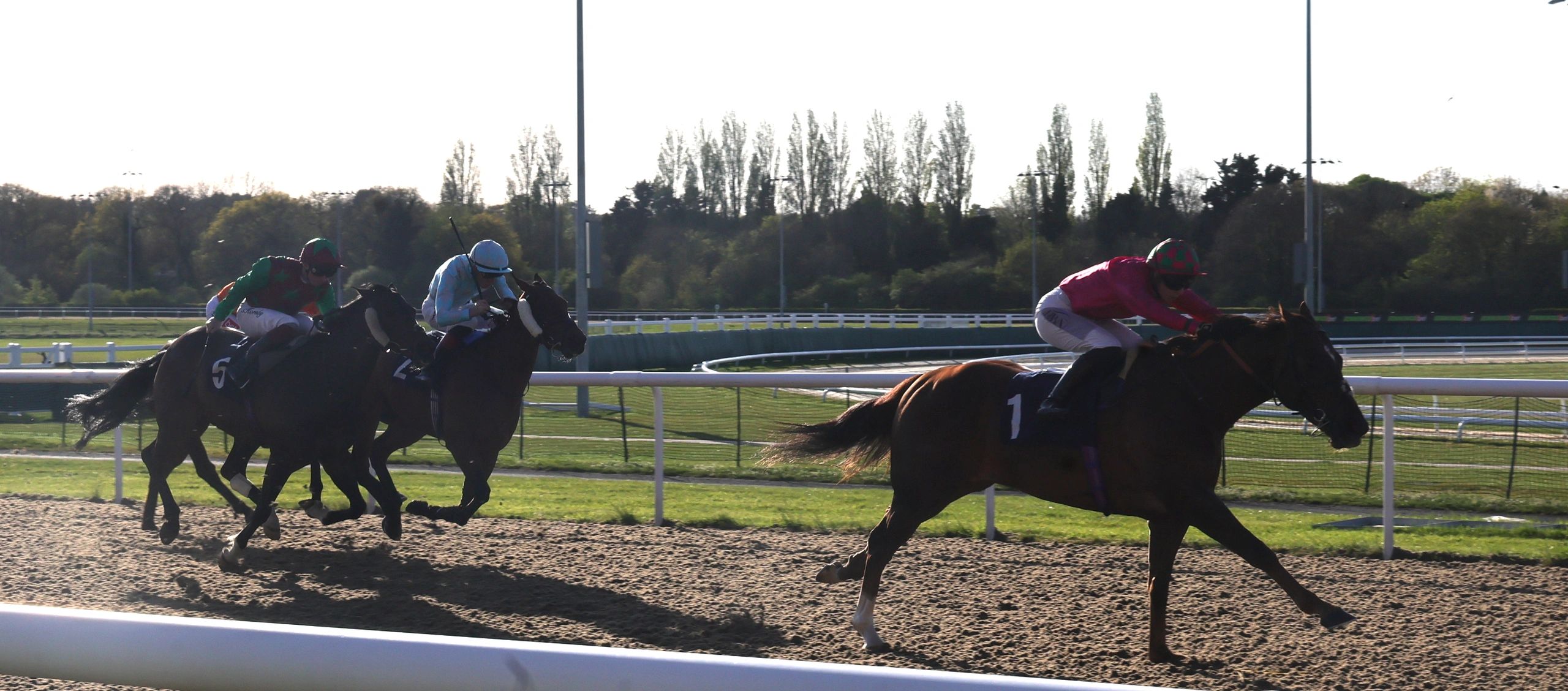Racing Comps