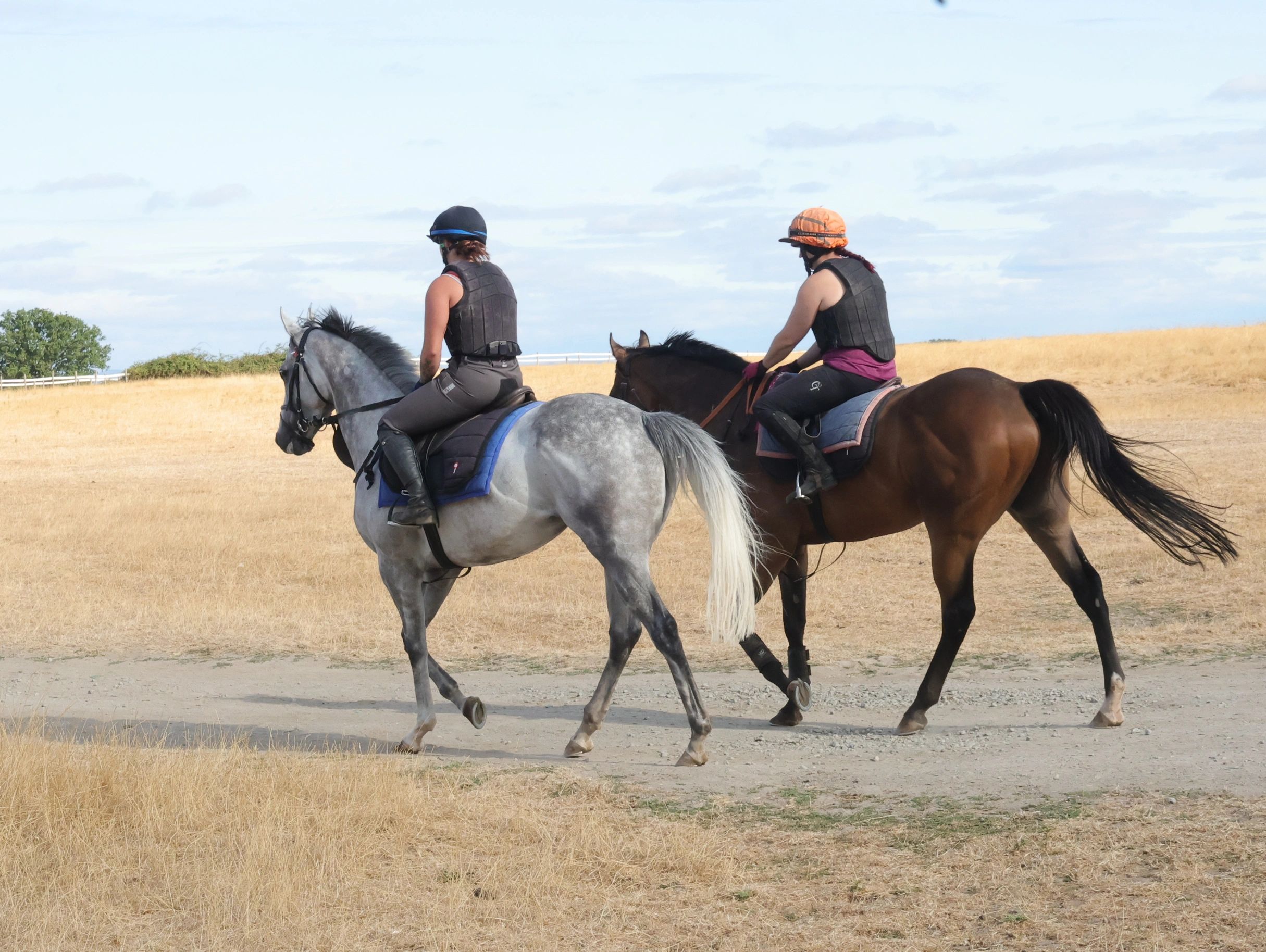 Mintana {left} and Bungle Bay
