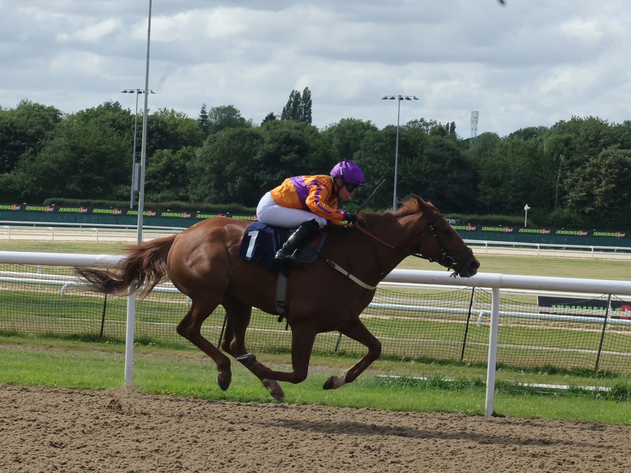The Craftymaster wins at Wolverhampton