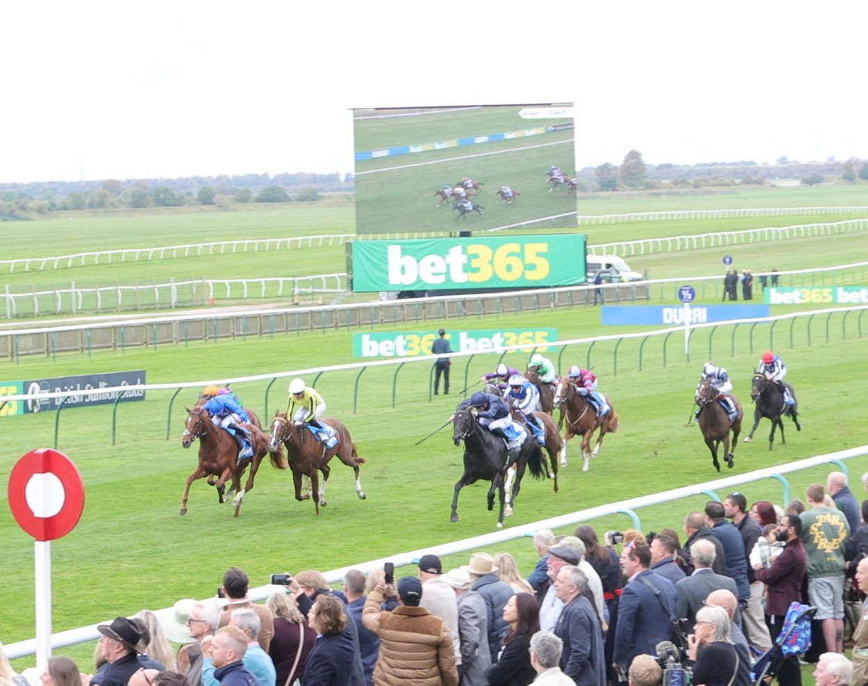 Beckford's Folly beats Brussels at Newmarket.