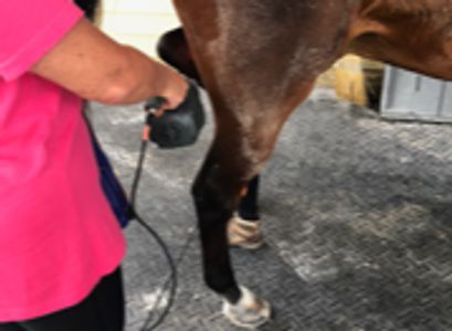 Cold Laser Therapy relieves pain and is noninvasive and painless.   
