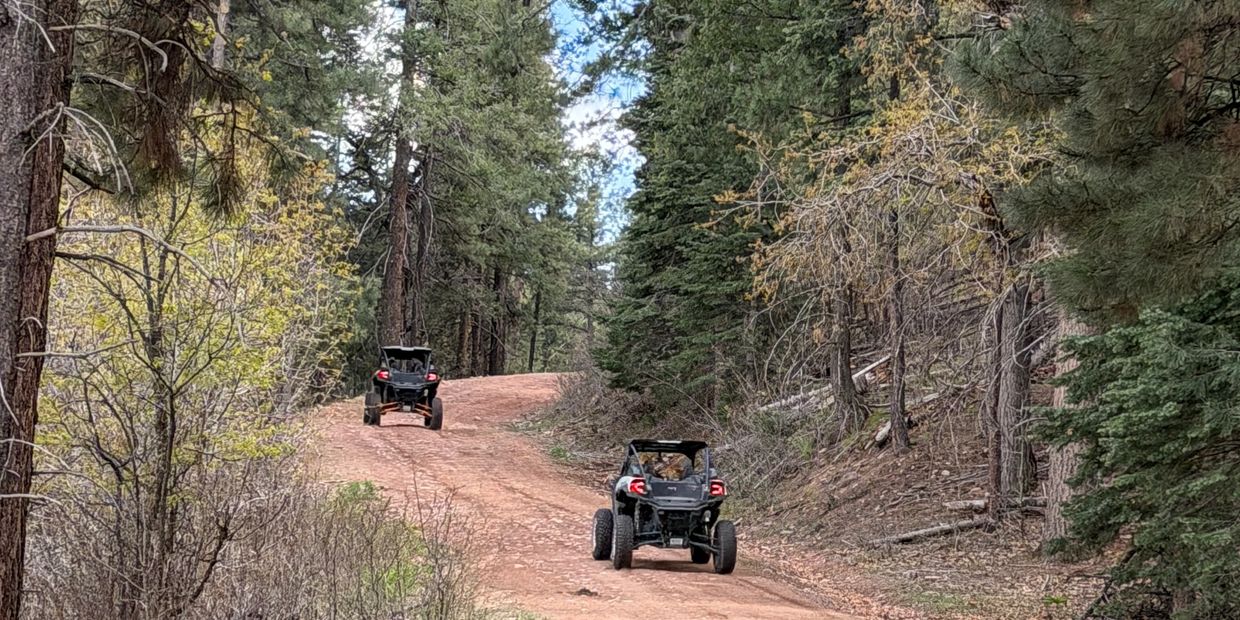 Two off-road vehicles driving on a forest dirt trail.