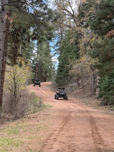 Two off-road vehicles on a forest dirt trail surrounded by trees.