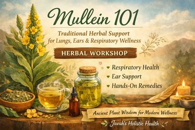 Mullein herbal workshop graphic with tea, oil, and flowers highlighting respiratory and ear support!