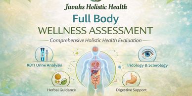 Full Body Wellness Assessment