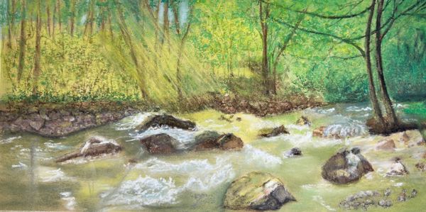 A serene forest stream with sunlight filtering through trees.