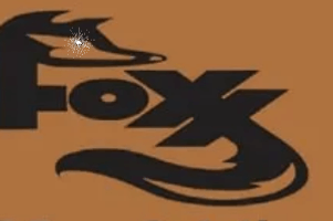 ES Foxx Solutions LLC