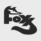 ES Foxx Solutions LLC
