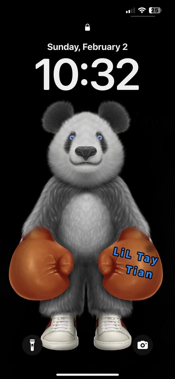 LiL Tay boxing panda bear wallpaper black background free wallpaper