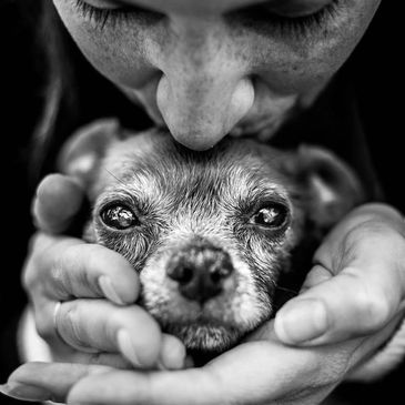 AMOR DE MASCOTA