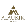 Alaukikwebsite