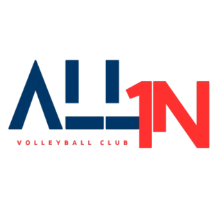 all1nvolleyball.com