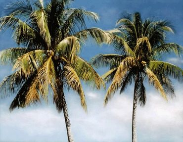 "Coconut Palms in Palm Beach" Air-brush acrylic on canvas.