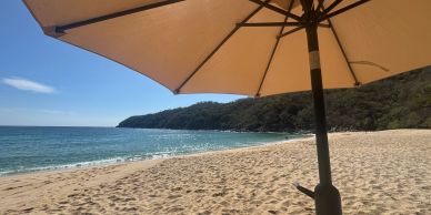 Beach scene under a large umbrella with clear skies.