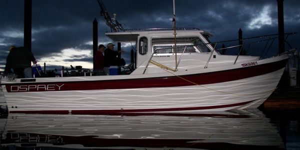 osprey fishing boat