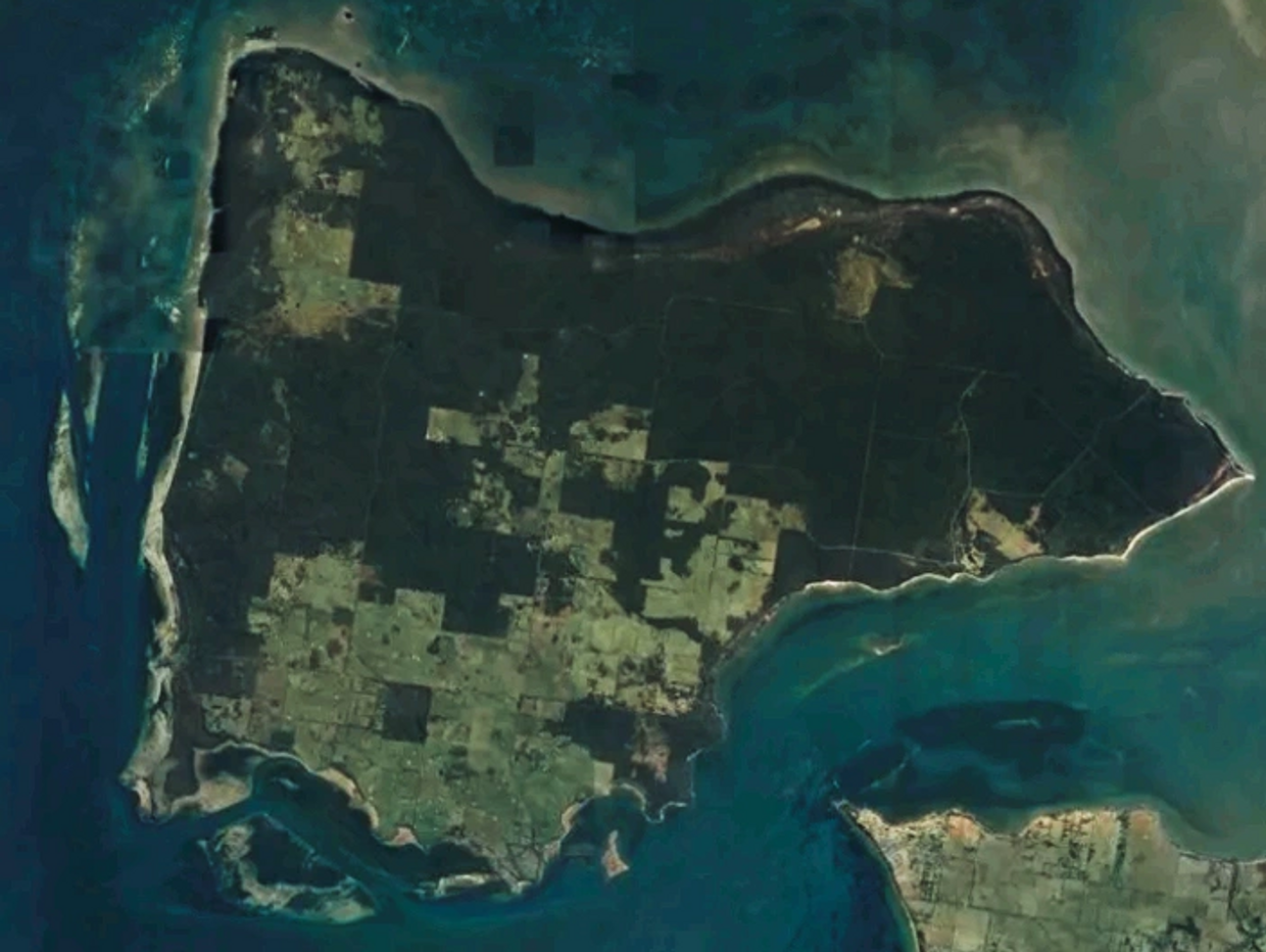 satellite image of French Island 