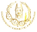 DOBERMAN GENETIC PROGRAM