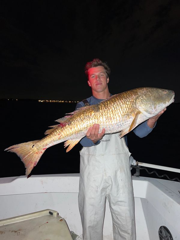 40 inch redfish 