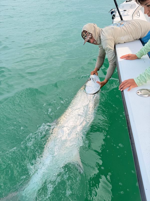 Big tarpon caught by client
