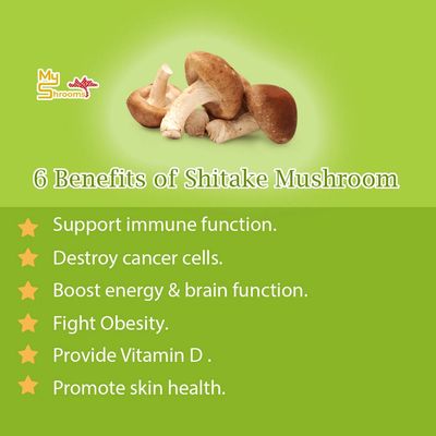 Shiitake Mushrooms: Nutritional Value, Benefits, And Side Effects