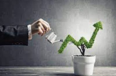 Finance Copywriter, Content Writer, Email Marketing Specialist, Cannabis Copywriter, Copy Writer