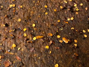 Red Chile Beef Jerky