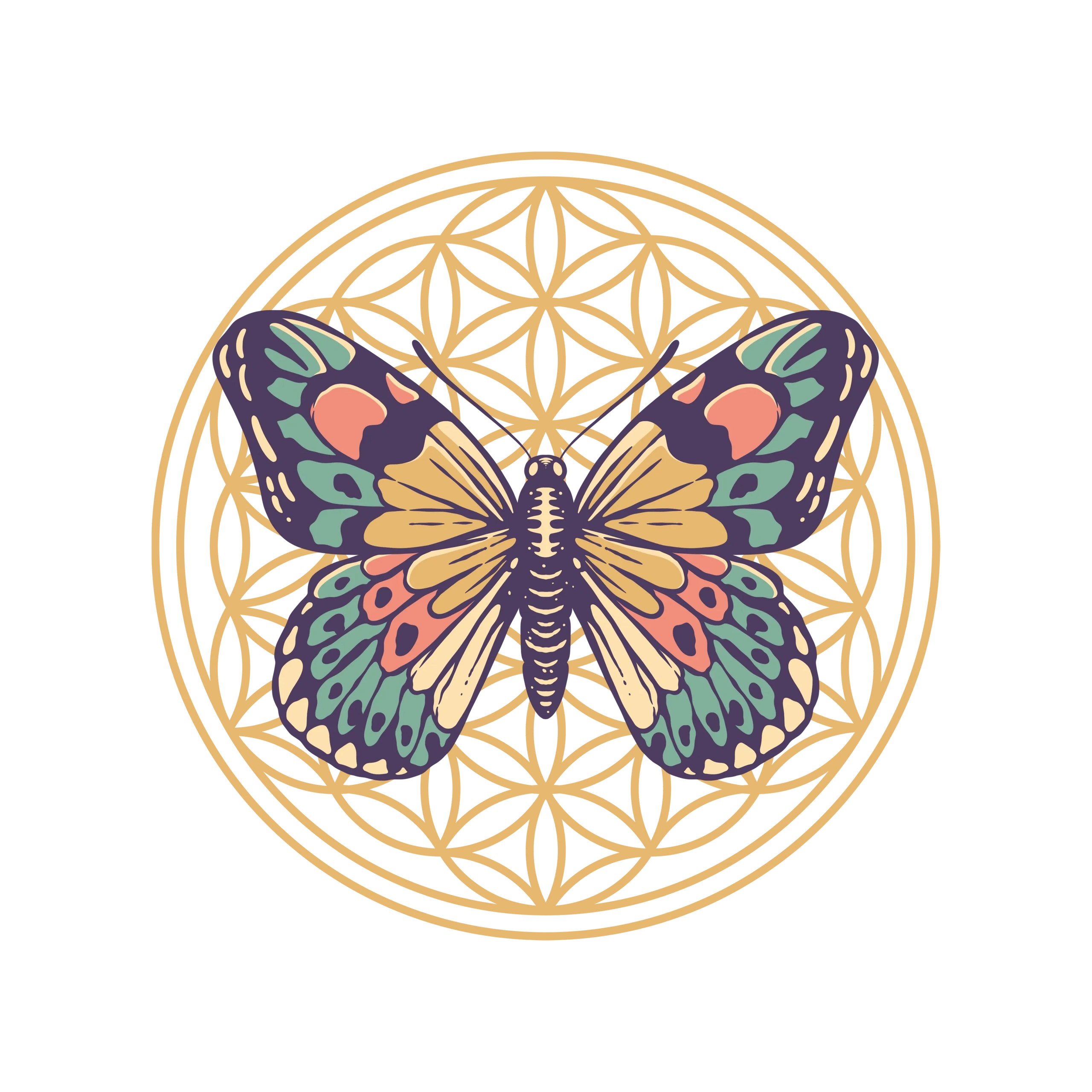Space Kamp, Butterfly Effect