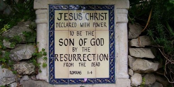 image36
