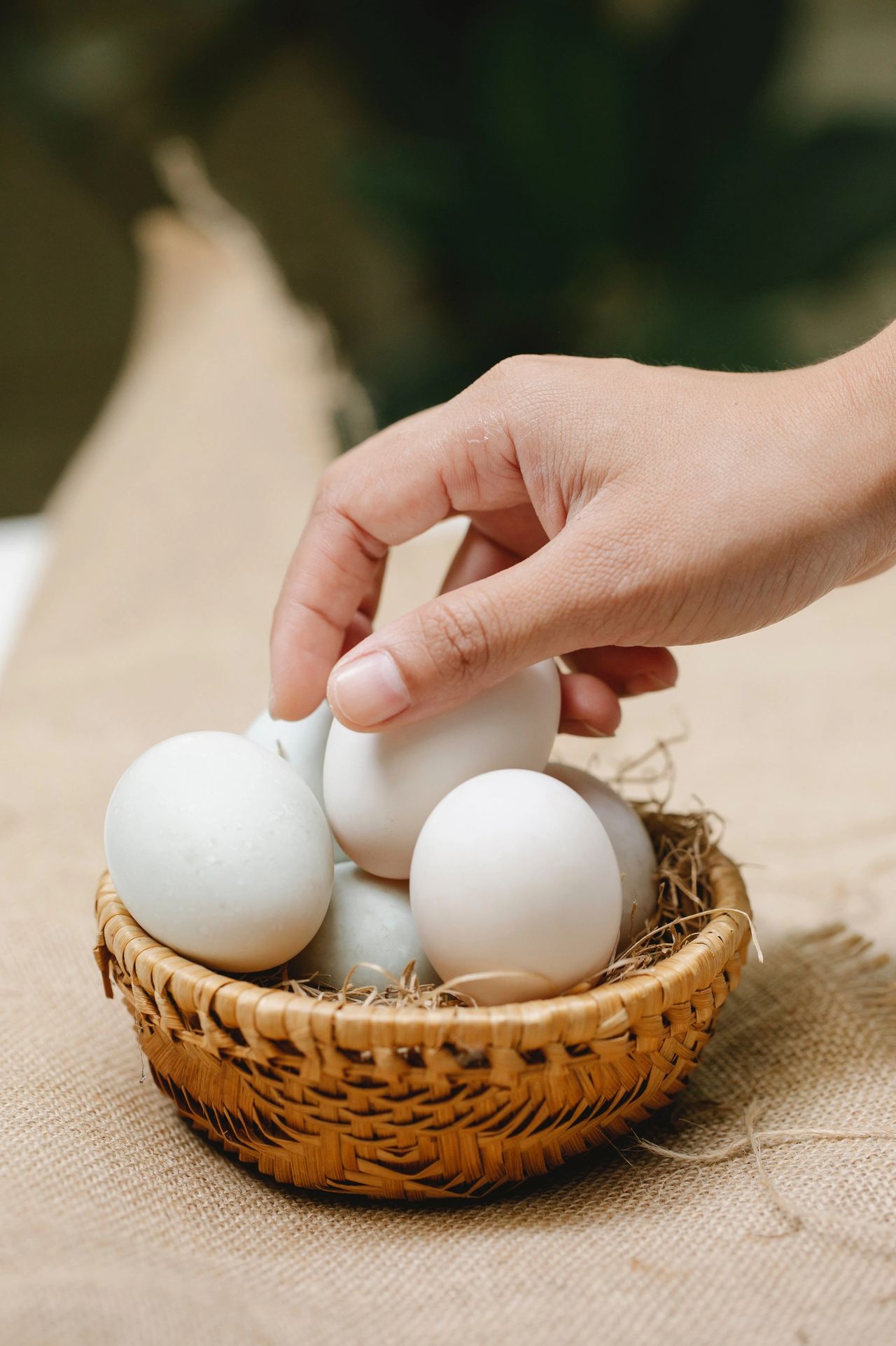 Pullet eggs: everything you need to know about the tiny 'waste' eggs now on  shop shelves, Eggs