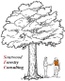Sourwood Forestry Consulting