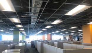 Acoustical Ceilings