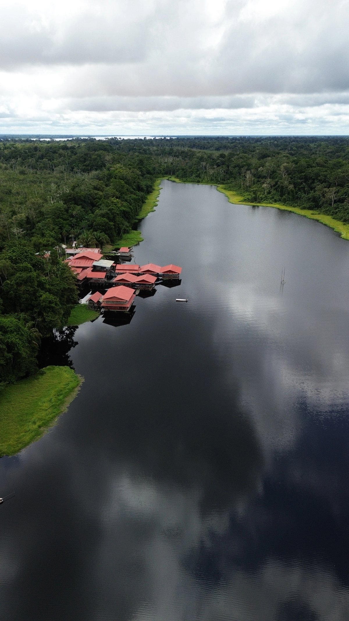 A cluster of red-roofed houses by a calm river surrounded by dense green forest.