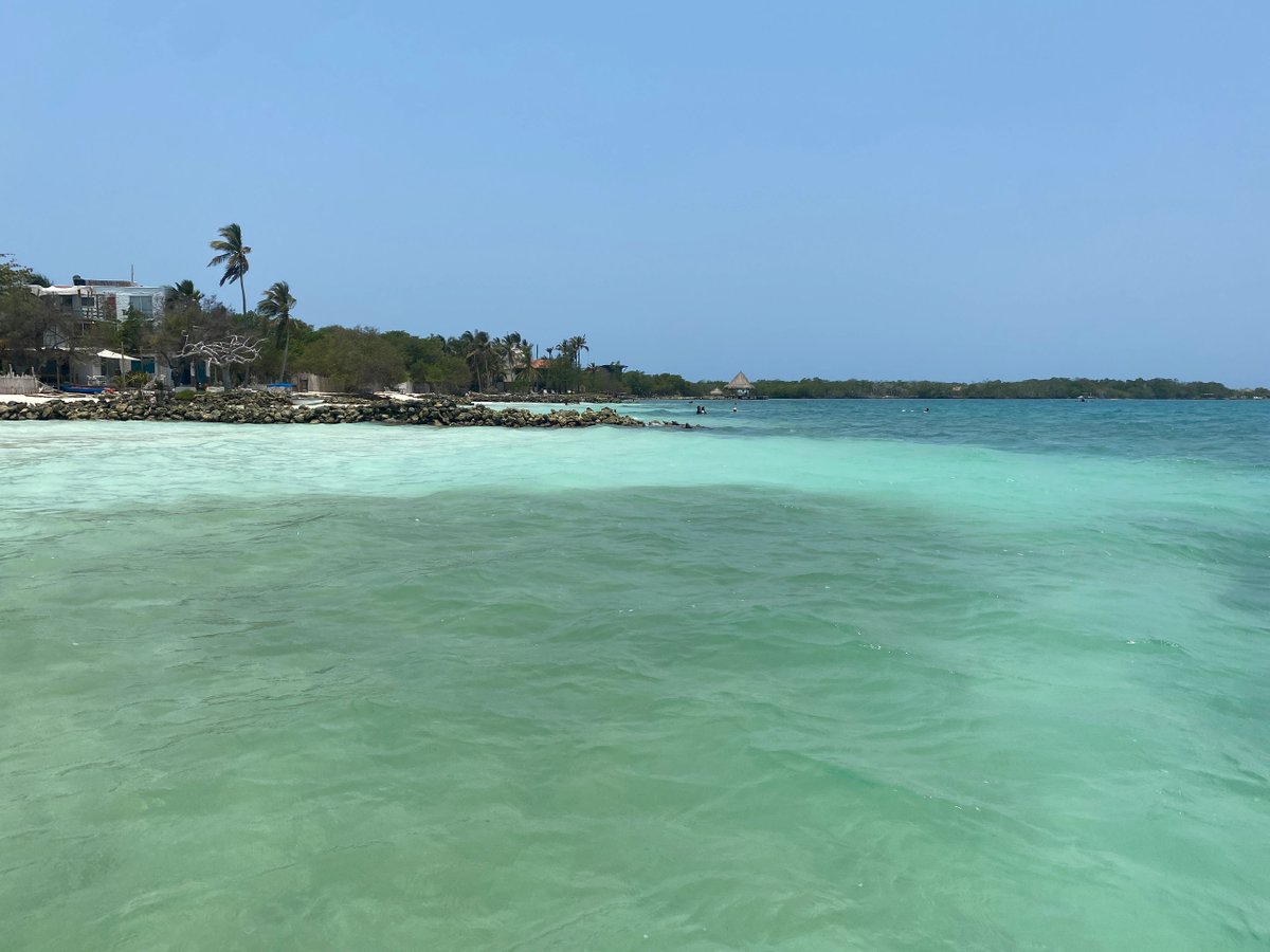 Tropical shoreline with clear turquoise water and palm trees under a clear blue sky.