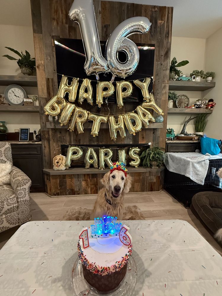 The Matriarch of the Dopey Dutch crew celebrated her 16th birthday on May 25th

