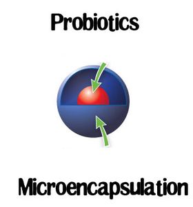 probiotics microencapsulation