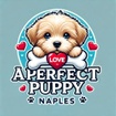A perfect puppy Naples
