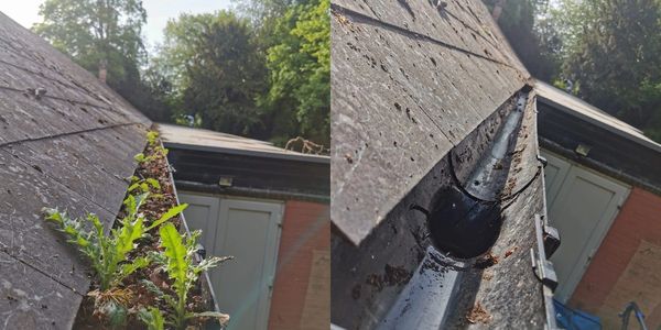 Pre & post gutter clearance photos