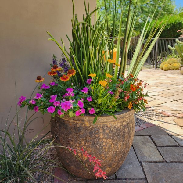 colorful flower pot