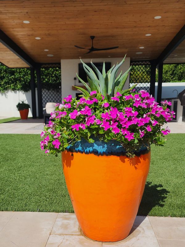 colorful planter