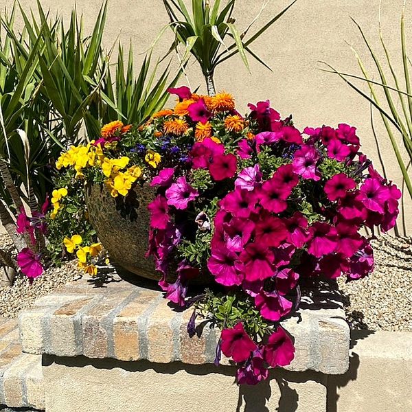 cascading flowers