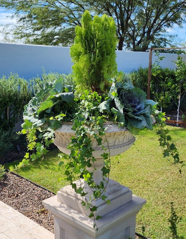 elegant container gardening