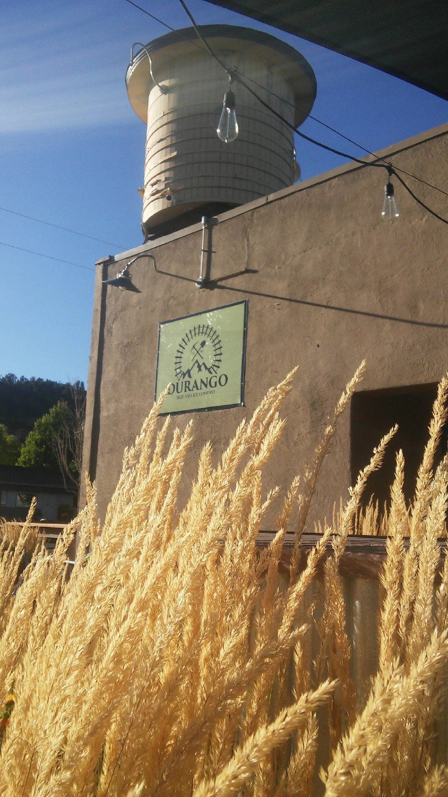 Durango Beer and Ice Brewery, Beer, Taproom