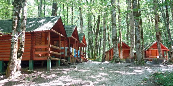 several small cabins in the woods, at a summer camp